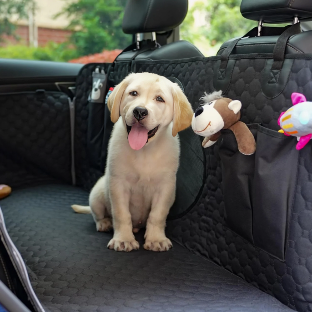 Nonslip Pet Car Back Seat Cover